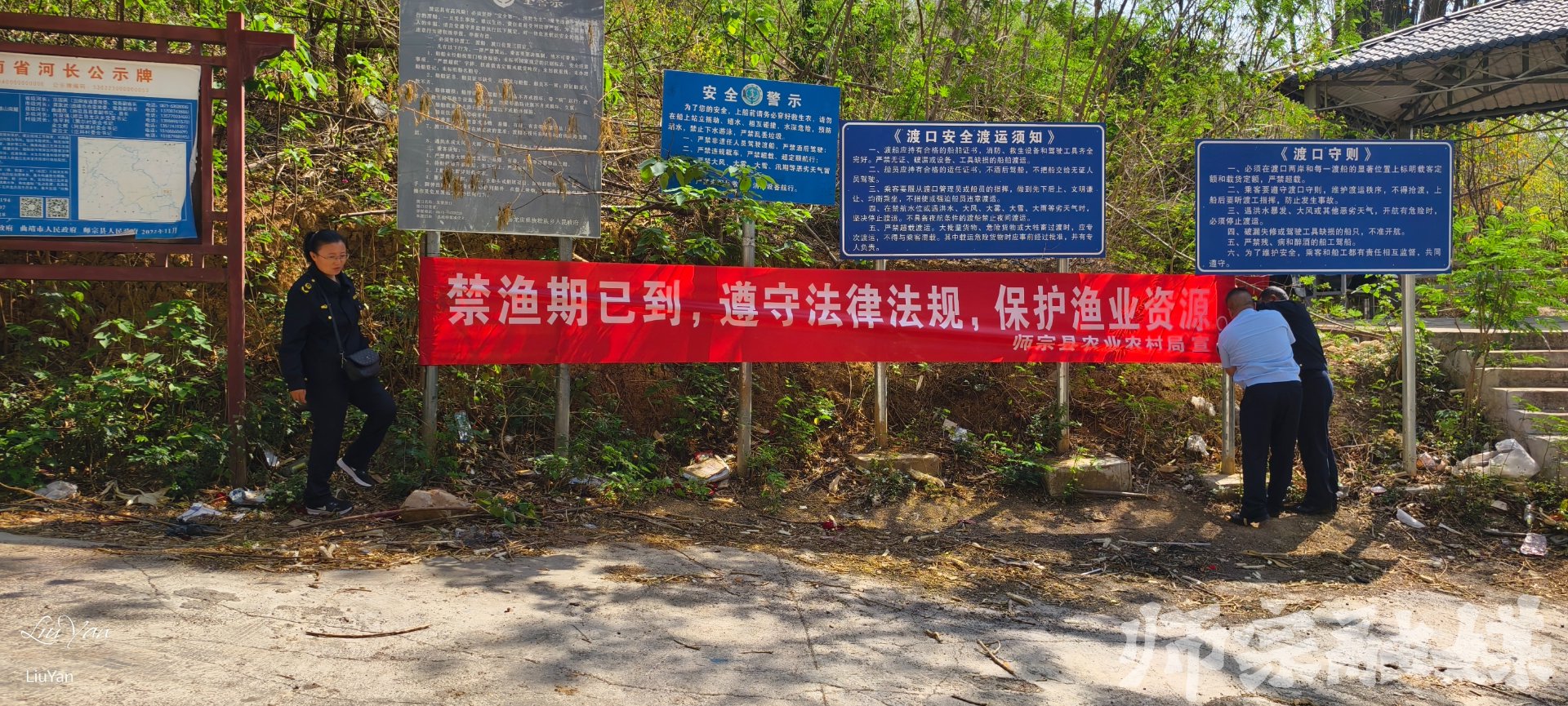 宏宇黄粉虫